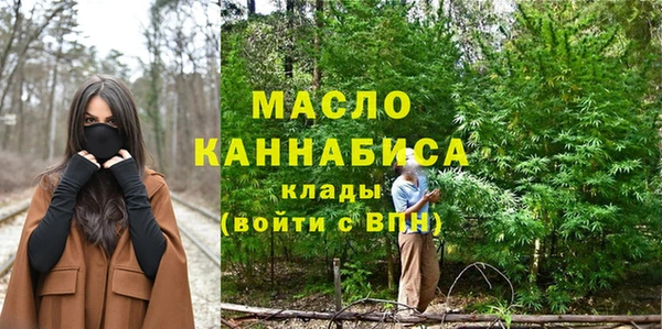 индика Инсар