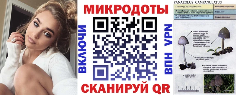 Псилоцибиновые грибы MAGIC MUSHROOMS  Купить закладки  Пыталово 
